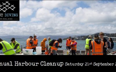 2024 Annual Harbour Cleanup